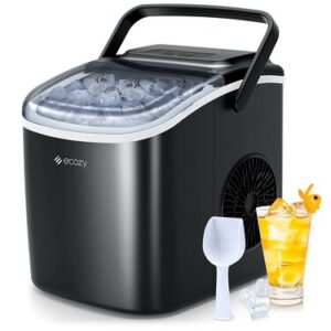 Enter to win a $450 ice maker 