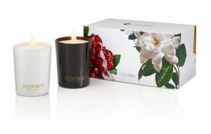 Scent bird FREE candle Set for Mother's Day 