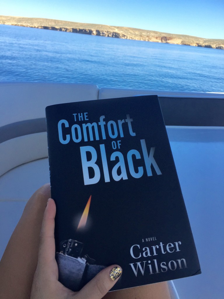 The Comfort of Black- a Novel by Carter Wilson