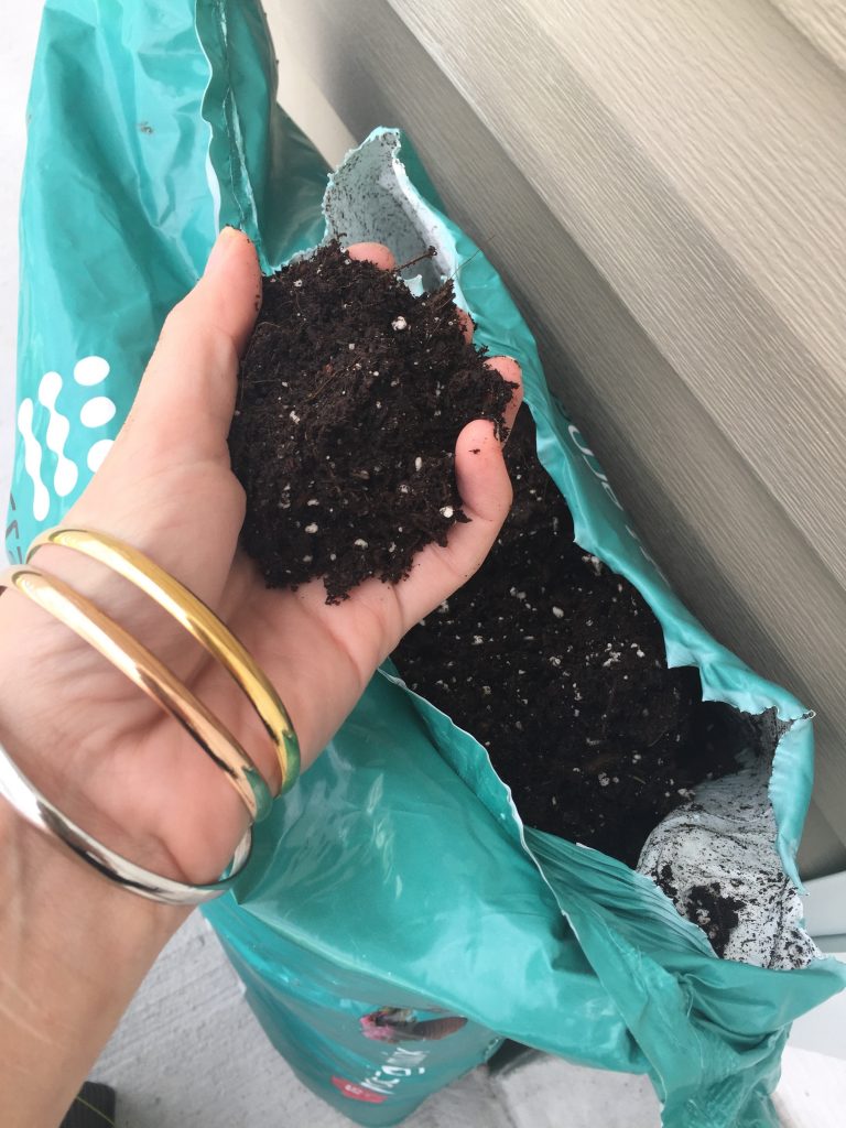 eco scraps potting soil