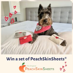 GIVEAWAY: Win Super Comfy 1500 Thread Count PeachSkin Sheets for AMAZING Sleep